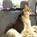 ���� ����, ���� - ��������� 5 �������� 2013