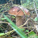 ���� ���������- ���� �������� !!, ������ - ��������� 19 �������� 2013 � ������ ������ ����� !!! 18.09.2013 � !!!�