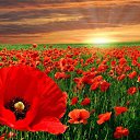 ���� �����, ��������, 38 ��� - ��������� 15 ������ 2013 � ������ ����� ��� ����))))�