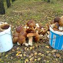 ���� ���������- ���� �������� !!, ������ - ��������� 19 �������� 2013 � ������ ������ ����� !!! 18.09.2013 � !!!�