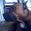 ���� ����, �����������, 57 ��� - ��������� 5 ������� 2013 � ������ ���� ����������