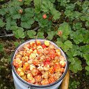 ���� ��������.������������ �������. �� ������� �������� � ����...�