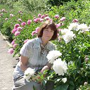 ����� �� ������� ����� ��� ������������