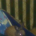 ���� �����, �����-���������, 40 ��� - ��������� 4 ������� 2013 � ������ ���� ����������