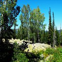 �� ���� �� ���������. �� ������� ����������.�