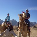 ���� ������, ������, 56 ��� - ��������� 23 ������ 2014 � ������ ���� ����������