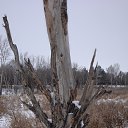  , , 63  -  9  2013    