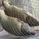 ���� �����, ������, 57 ��� - ��������� 9 ������� 2013 � ������ ���� ����������