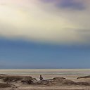 ���� Pittolinn, �����������, 54 ���� - ��������� 22 ������� 2013 � ������ �������