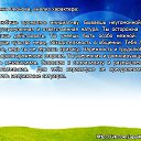 ���� ����, ������, 46 ��� - ��������� 24 ������� 2014 � ������ ������ ��������