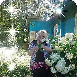 ���� ���������, �������, 60 ��� - ��������� 8 �������� 2013