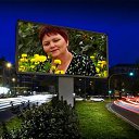� ������ ����,������ ����� �� ������� ���� ����������
