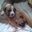 ���� Gena, ��������, 41 ��� - ��������� 27 �������� 2013 � ������ ���� ����������