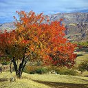 ���� Davron, �����, 56 ��� - ��������� 30 ������� 2013 � ������ ���� ����������