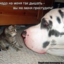 ���� ����, ������, 43 ���� - ��������� 10 ������ 2013 � ������ ���� ����������