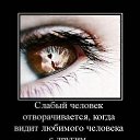 ���� ����, �����-��������� - ��������� 13 ����� 2014 � ������ ������ ��������