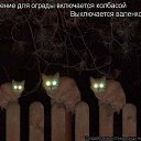 ���� Svetlana, ������� - ��������� 6 ������� 2014 � ������ ���������