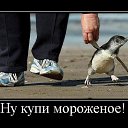 ���� �����, ������, 54 ���� - ��������� 25 ������� 2014 � ������ �DeMotivator�