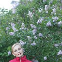 ���� ����, ������, 51 ��� - ��������� 21 ������ 2014 � ������ ���� ����������