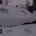 ������ �� ������� ���� ����������