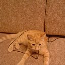 ���� ������, ���, 39 ��� - ��������� 3 ������� 2013