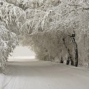 ���� �����, ���������, 56 ��� - ��������� 9 ����� 2014 � ������ ���� ����������
