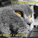 ���� ������, ���������� �����, 45 ��� - ��������� 14 ������ 2014 � ������ ������