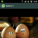 ���� �������, ����� - ��������� 22 ������� 2013 � ������ ���� ����������