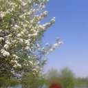 ���� �����, ������������ - ��������� 29 �������� 2013 � ������ ����� � ����.�