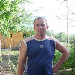 �������, �������, 67 ���