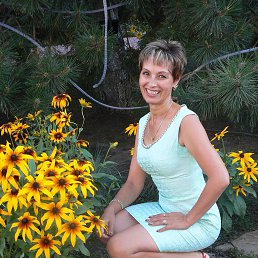 ���� ����, ������-��-����, 61 ��� - ��������� 7 �������� 2013