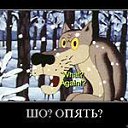 ���� ������, �����, 51 ��� - ��������� 21 ������� 2013 � ������ ���� ����������