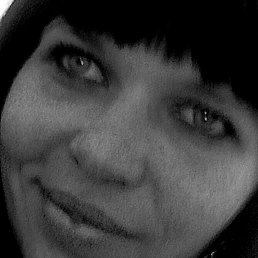 , 41,  