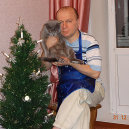 ��� ������. �- ����.