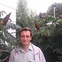 ���� ��������, ������, 70 ��� - ��������� 24 ������ 2014 � ������ ������ ��������