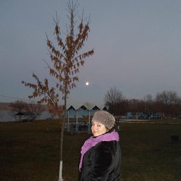 ���� �����, ����������, 52 ���� - ��������� 18 ������� 2014