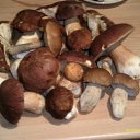 ���� ������ �������, �����-���������, 60 ��� - ��������� 25 ������� 2013