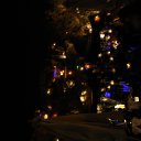 ���� ����, ������, 59 ��� - ��������� 19 ������� 2014 � ������ �EGYPT 01 2014�