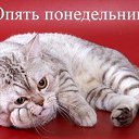 ���� Vlad, ���������, 57 ��� - ��������� 16 ������� 2013 � ������ ���� ����������