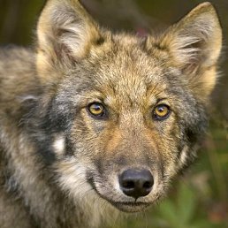 ���� ���������, ����-���, 47 ��� - ��������� 11 ����� 2014