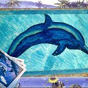 ���� ����, ����-�����������, 41 ��� - ��������� 3 ������� 2014 � ������ ������� ������ � �������� ��������