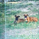 ���� ������, ���������� - ��������� 11 �������� 2013 � ������ ���� ����������