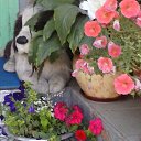 ���� ���������, �������, 63 ���� - ��������� 18 ������� 2013 � ������ ������ ��������