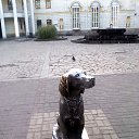 ���� M�����, ������ - ��������� 6 ������� 2013 � ������ ���� ����������