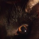 ���� ����, ������ ��������, 36 ��� - ��������� 8 ������ 2014 � ������ ���� ����������