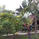���� ���������, ���� - ��������� 17 ������� 2013 � ������ ������ ��������