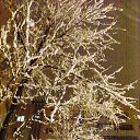 ���� Valechka, �����, 60 ��� - ��������� 10 ������ 2014 � ������ ���� ����������