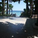 ���� �����, ���������, 64 ���� - ��������� 16 ������� 2013 � ������ ������� 2013 ���.�