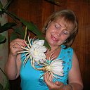 ���� ���������, ���������� - ��������� 28 ������� 2013 � ������ ���� ����������