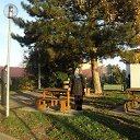 ���� ����, ������ - ��������� 3 ������ 2014 � ������ ������ �� ������